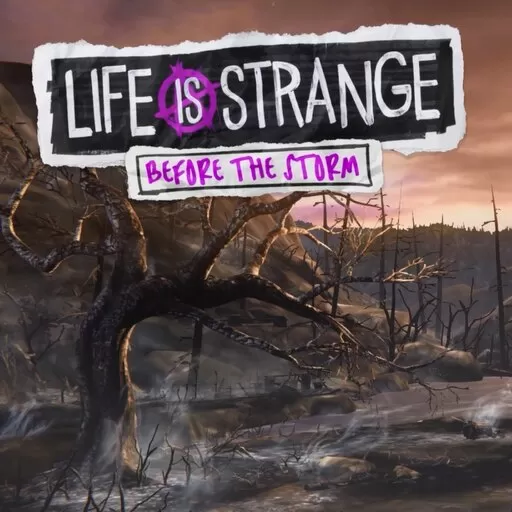 奇异人生：风暴前夕 重制版