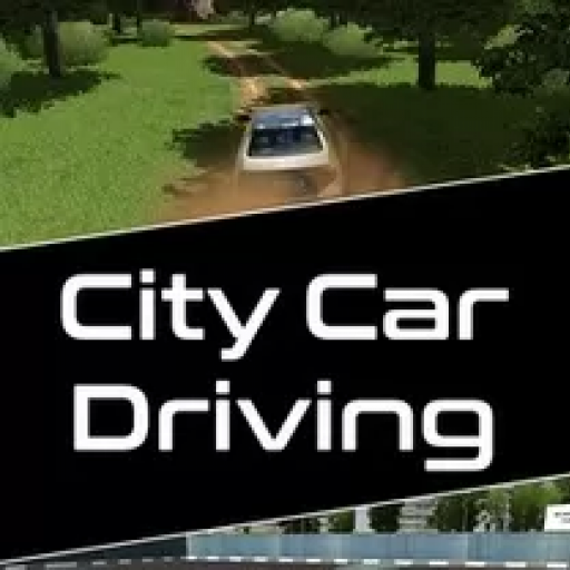 城市汽车驾驶 