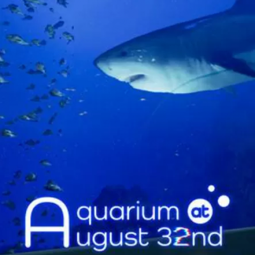 8月32日的水族馆