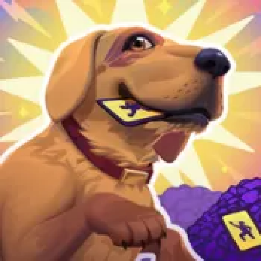 老婆随手扔了我多年珍藏卡牌