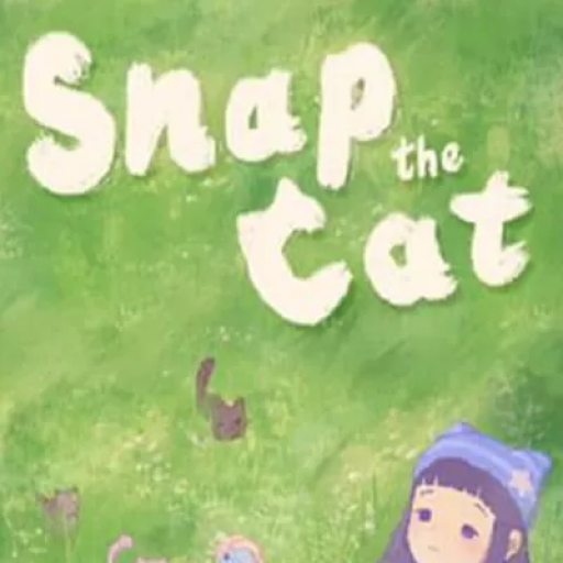 拍摄猫咪